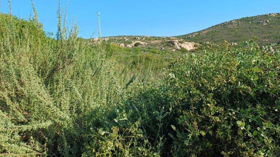 0 Bedroom Property for Sale in Steenbergs Cove Western Cape